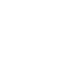 Features Icon